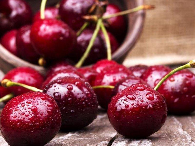 Вишня купить саженцы из питомника в Куйбышеве